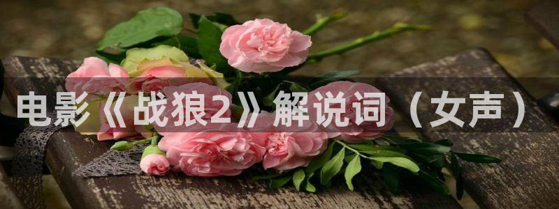 新闻图片