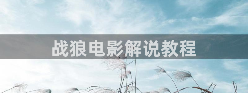 神马电影午夜51