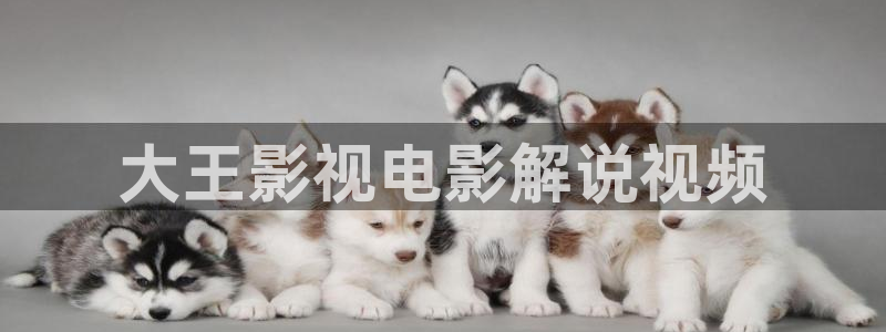 神马电影dy8888