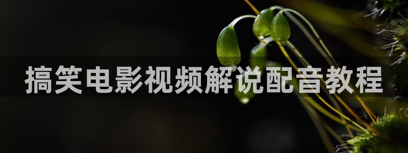 神神马影院