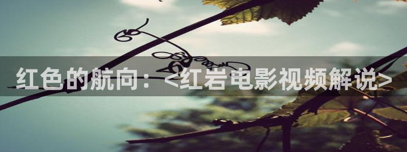 神马我不卡手机伦理影院