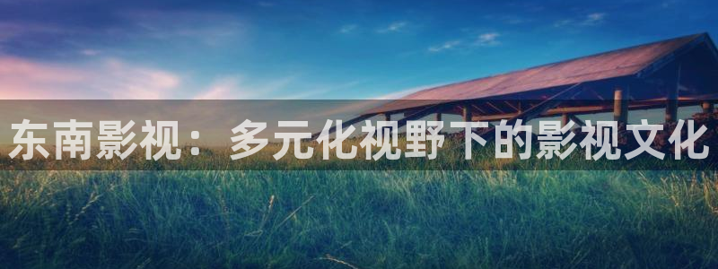 神马电影院线