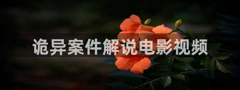 神马电影十伦理