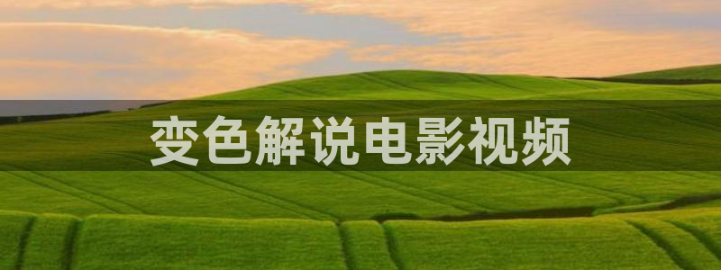 神马三级我不卡电影网