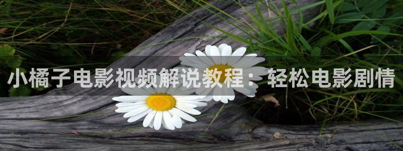 神马电影论理