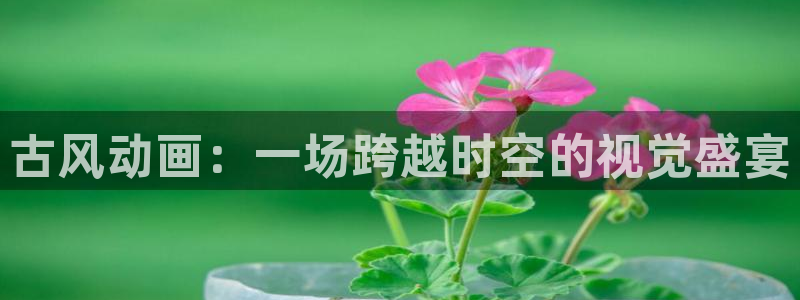 神马久久影院网