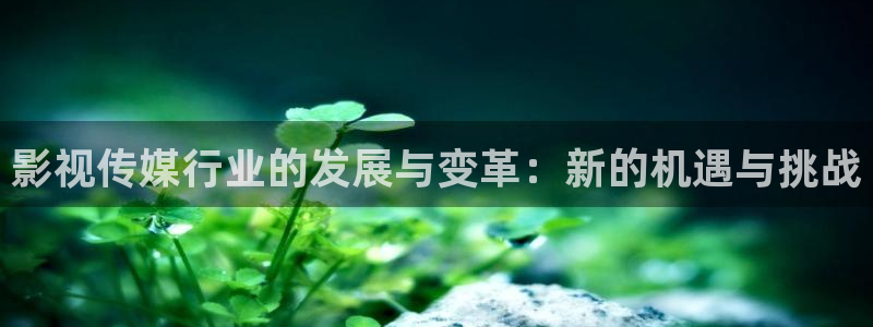 神马影院之樱花
