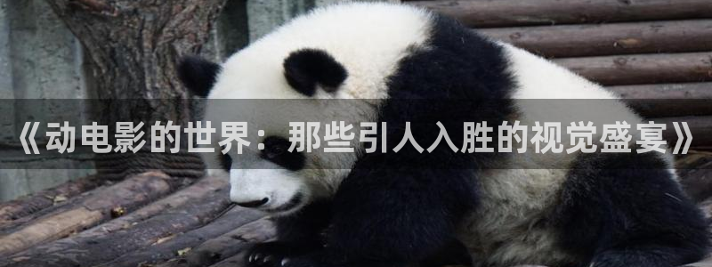 神马限制电影网