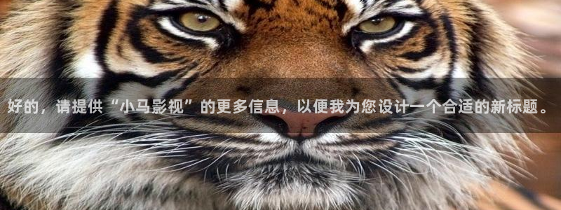 神马天堂伦理