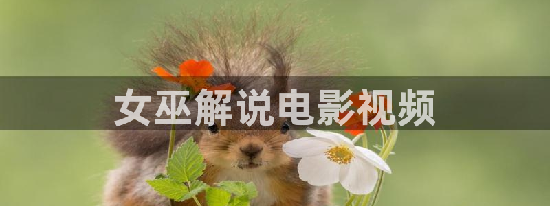 神马午电影