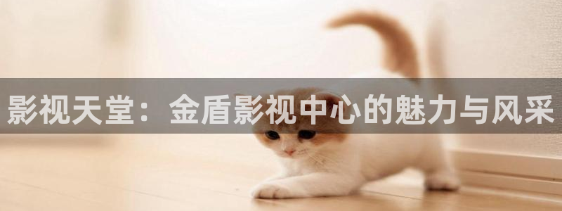 妈妈的朋友 神马电影