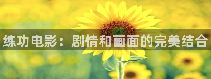 八戒八戒神马影院手机在线观看