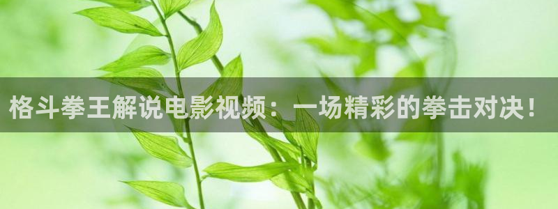 神马达达兔手机电影