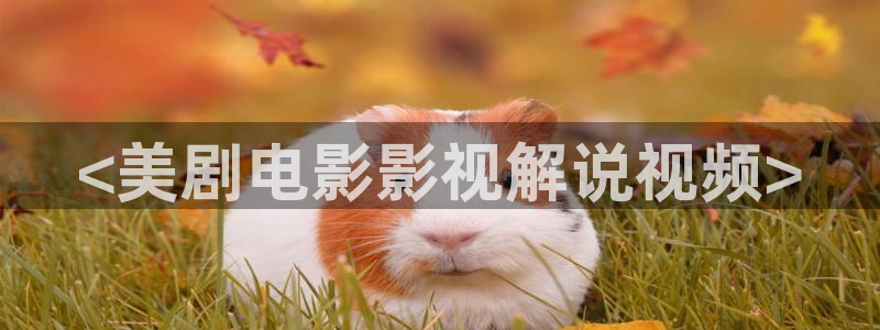 神马八戒影院
