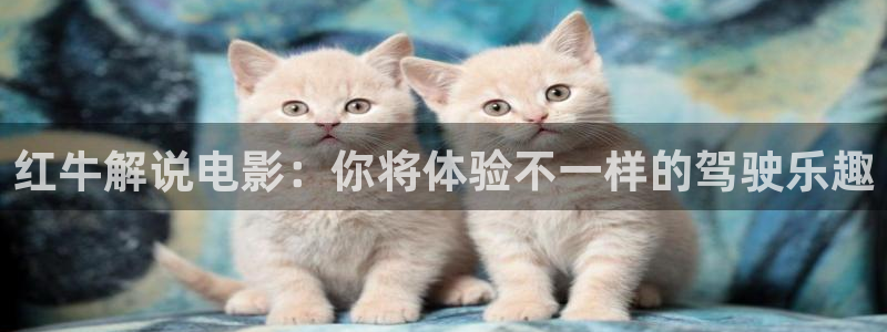神马电影超神影院达达兔