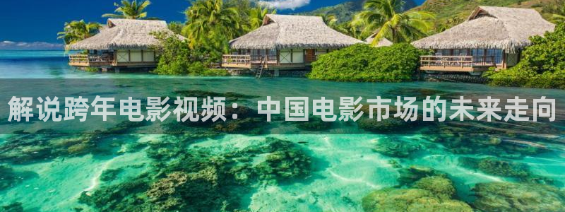 我不卡神马电影院