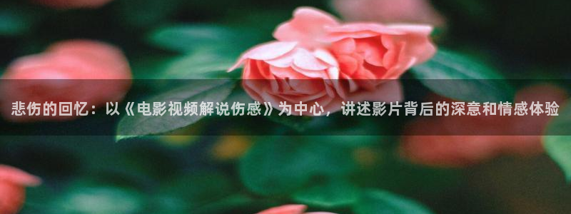神马影院dy午夜