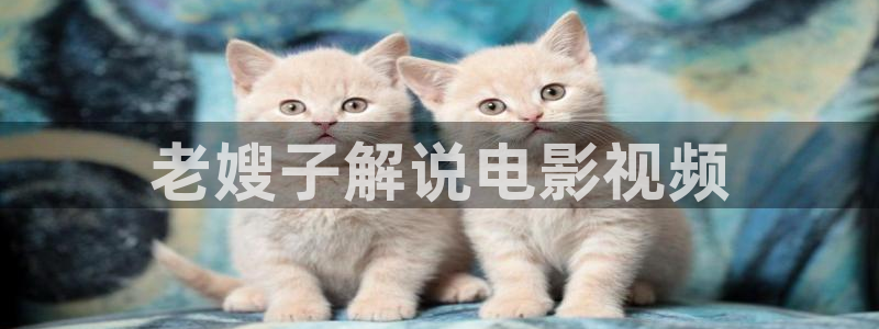 在线影视 神马