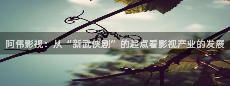 ppypp神马影院