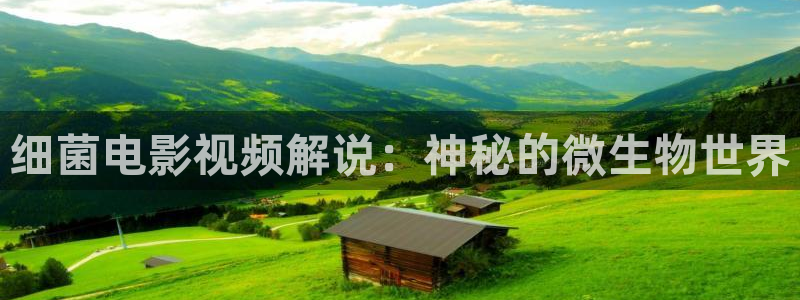 神马视频97